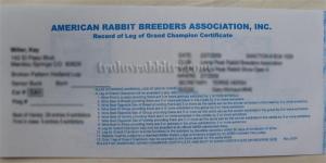 The front of the leg with the information of the breeder, rabbit and the show the leg was obtained