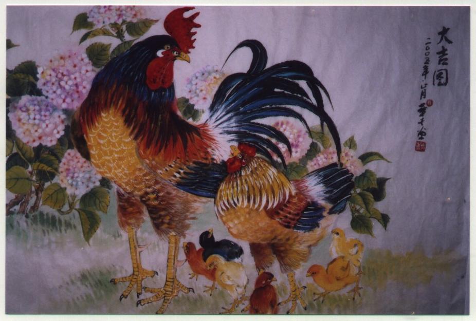 Rooster & Chicks
